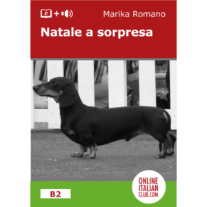 Easy Italian reader - Natale a sorpresa - cover image