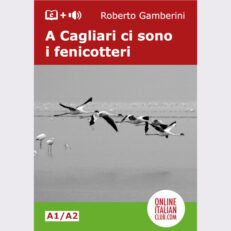 Easy Italian reader ebook - A Cagliari ci sono i fenicotteri - cover image